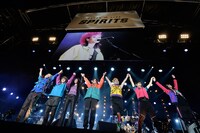 hide with Spread Beaver