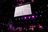 hide with Spread Beaver