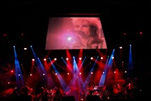 hide with Spread Beaver