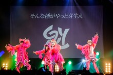 「二丁目の魁カミングアウトの絶対に埋まらないワンマンライブ in Shibuya O-EAST」の様子。（撮影：タマイシンゴ）