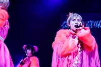 白鳥白鳥（撮影：タマイシンゴ）