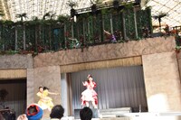 「チームしゃちほこ、もう一つのハワイ！～スパリゾートハワイアンズLIVE～」の様子。