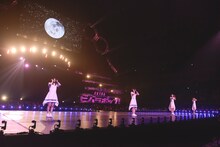 sora tob sakana（撮影：釘野孝宏）