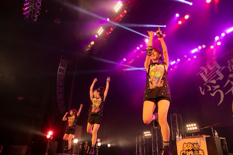 あゆみくりかまき（撮影：米山三郎）