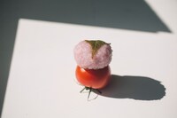 「初恋 横浪修×前野健太 写詩ン集」掲載カット