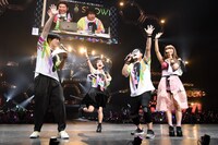 左から遠山大輔（グランジ）、西井万理那、団長（NoGoD）、ぱいぱいでか美。（撮影：釘野孝宏）