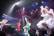 ぜんぶ君のせいだ。（撮影：関上貴也）