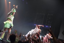 ぜんぶ君のせいだ。「ロマン無頼IZM」の様子。（撮影：関上貴也）