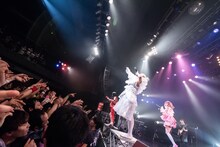 ぜんぶ君のせいだ。「ロマン無頼IZM」の様子。（撮影：関上貴也）