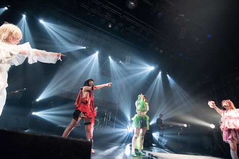 ぜんぶ君のせいだ。（撮影：関上貴也）