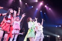 ぜんぶ君のせいだ。（撮影：関上貴也）