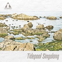 LEODRAT「Tidepool Singalong」ジャケット