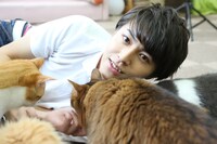 猫たちに囲まれるタカシ。