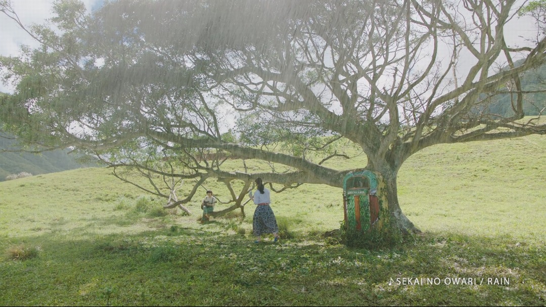 淡麗グリーンラベル新CM「GREEN JUKEBOX 雨篇」のワンシーン。