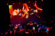 「Aoki Yutaka “Lost in Forest“ LIVE」の様子。(Photo by Eisuke Asaoka)