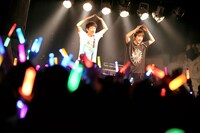 流れ星（撮影：高畠正人、新倉映見）