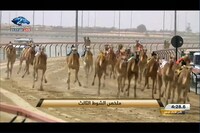 ドバイのお金持ちが熱狂するレース。(c)TBS