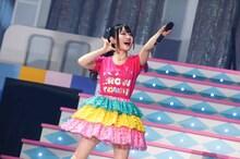 小倉唯（撮影：釘野孝宏 / 深野輝美）