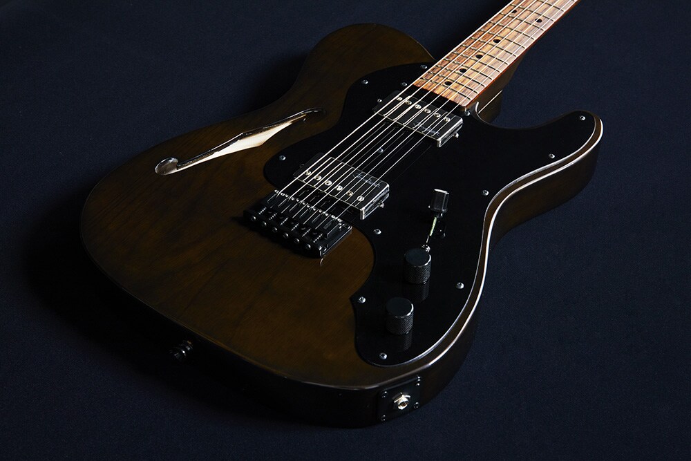 Fender Telecaster Thinline “BiSH” Fender Telecaster Thinline “BiSH”(Fender Jim Adkins JA-90