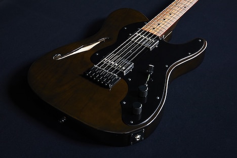 「Fender Telecaster Thinline "BiSH"」ボディ