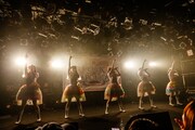 「ロッカジャポニカ Spring Tour 2018 ～Re:view ROCK A JAPONICA～」東京・渋谷CLUB QUATTRO公演の様子。（撮影：笹森健一）