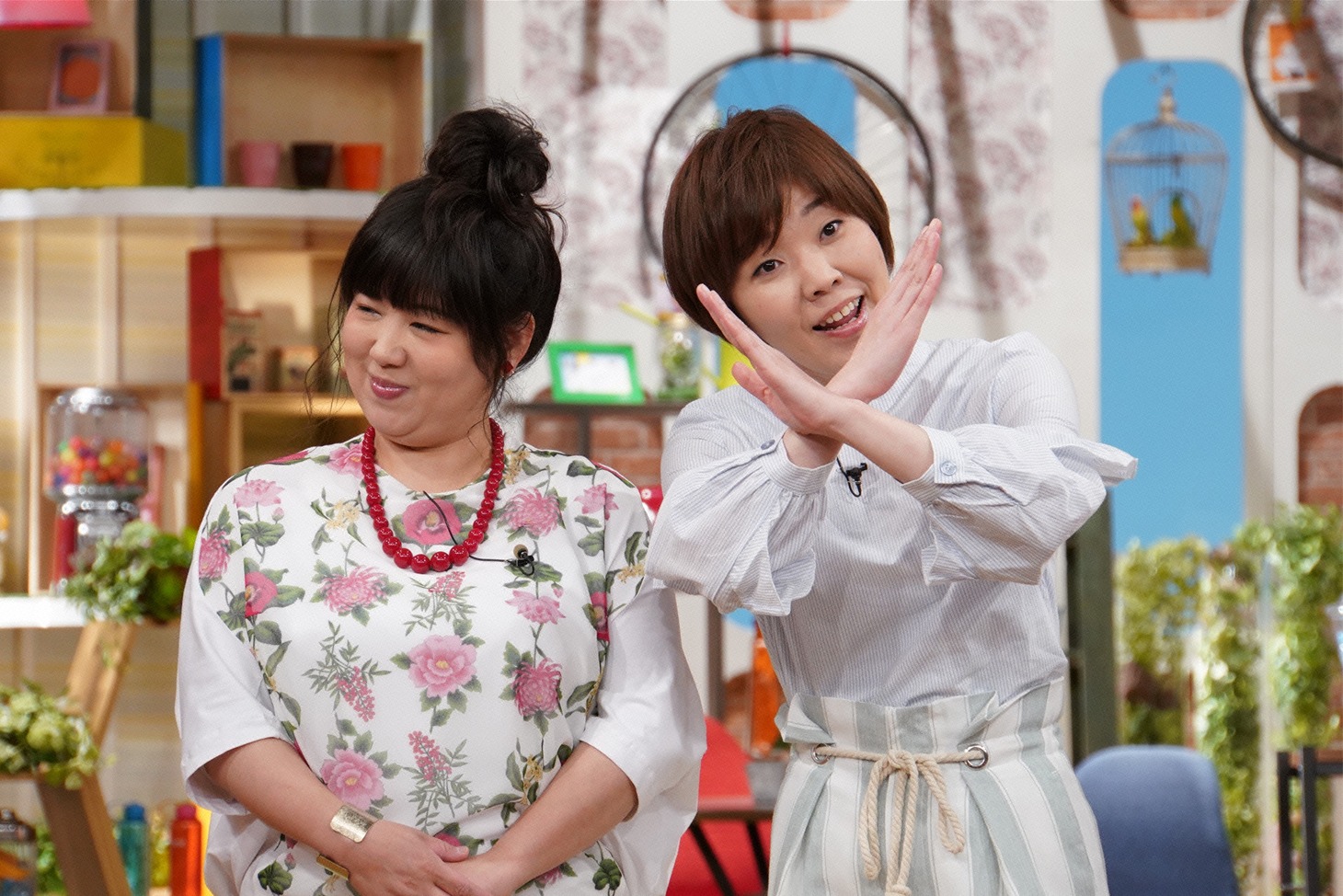アジアン(c)日本テレビ