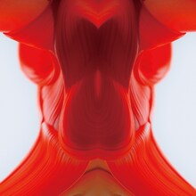 BiS1st「Don't miss it!!」初回限定盤Bジャケット