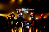 きゃりーぱみゅぱみゅのライブの様子。