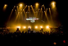 きゃりーぱみゅぱみゅのライブの様子。