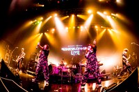 PUFFYのライブの様子。