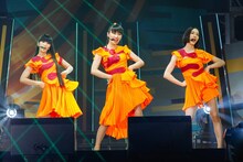 Perfume（撮影：上山陽介）