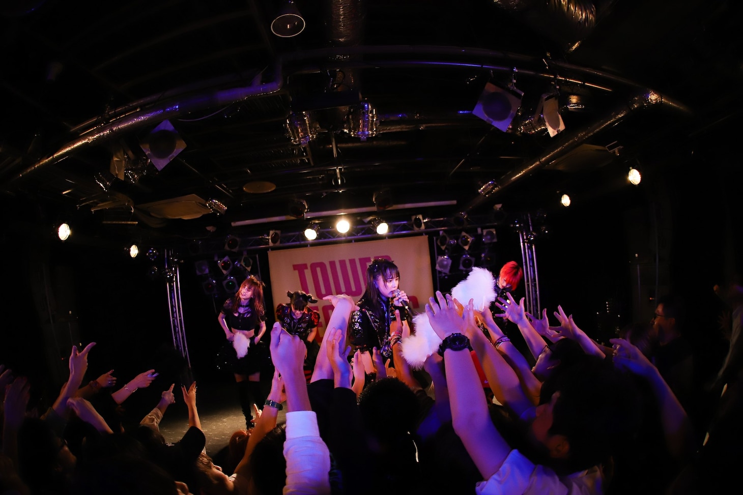 LADYBABY