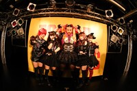 LADYBABYとレディービアード