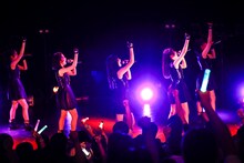 ロッカジャポニカ（撮影：笹森健一）