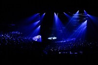 「amazarashi LIVE 理論武装解除」より「隅田川」のパフォーマンスシーン。