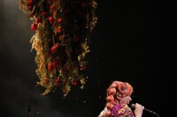 Chara (c) HAJIME KAMIIISAKA