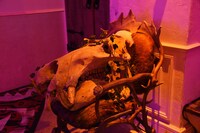 「Kisses and Kills Concept Bar」内の様子。