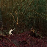 PALM「TO LIVE IS TO DIE, TO DIE IS TO LIVE」ジャケット