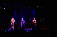 「星屑スキャット LIVE2018 化粧室で逢いましょう」の様子。（撮影：下村しのぶ）