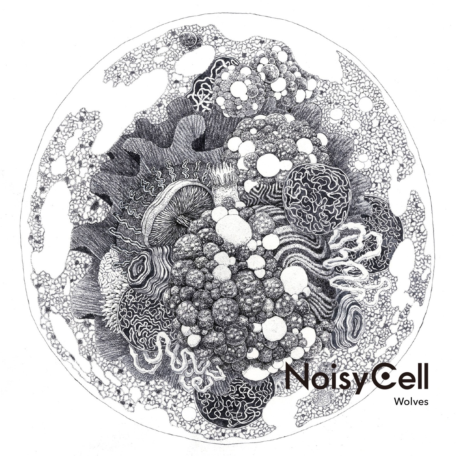 NoisyCell「Wolves」初回限定盤ジャケット