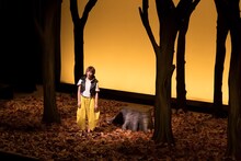 映画「猫は抱くもの」よりコムアイ出演シーン。(c)2018「猫は抱くもの」製作委員会