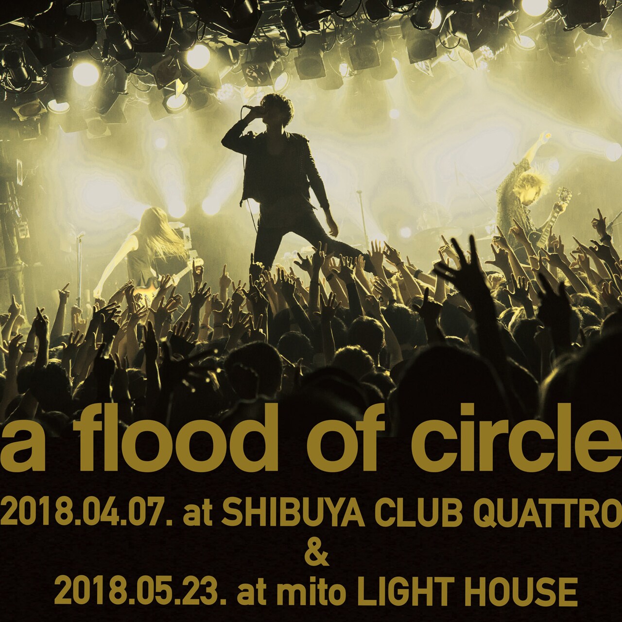 a flood of circle、AWAで12曲分のライブ音源配信