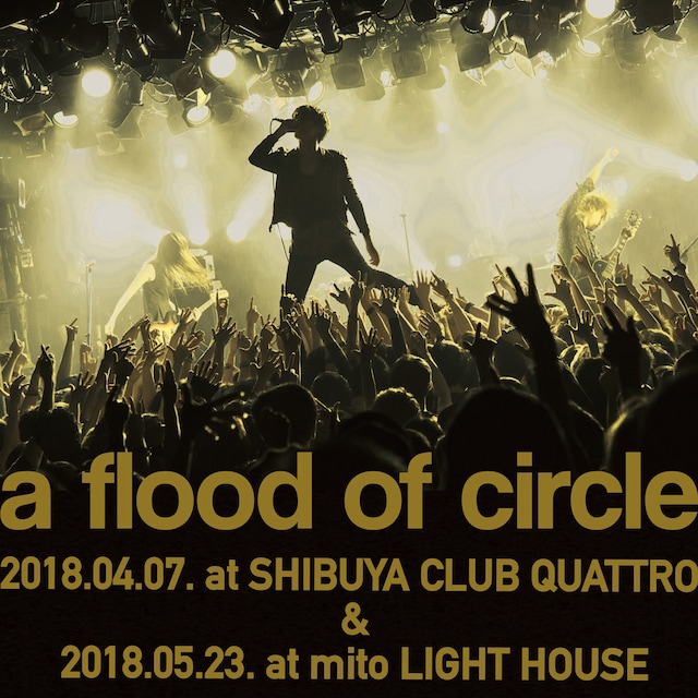 a flood of circle「a flood of circle Live プレイリスト 2018」ビジュアル