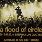 a flood of circle、AWAで12曲分のライブ音源配信