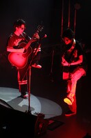 さくらしめじ（撮影：埼玉泰史）