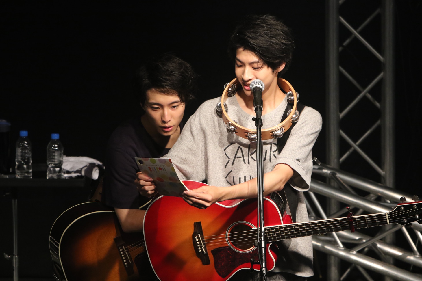 さくらしめじ（撮影：埼玉泰史）