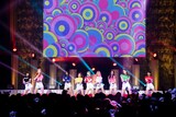 MOMOLAND