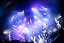 筋肉少女帯（撮影：コザイリサ）