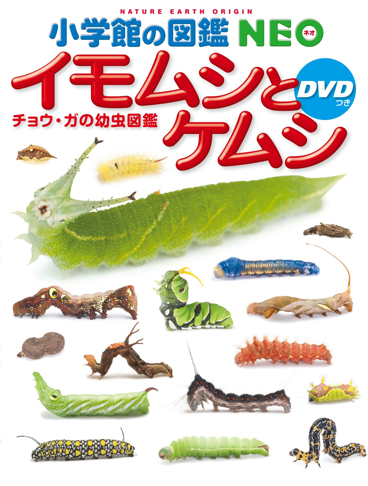 「小学館の図鑑NEO イモムシとケムシ DVDつき」表紙