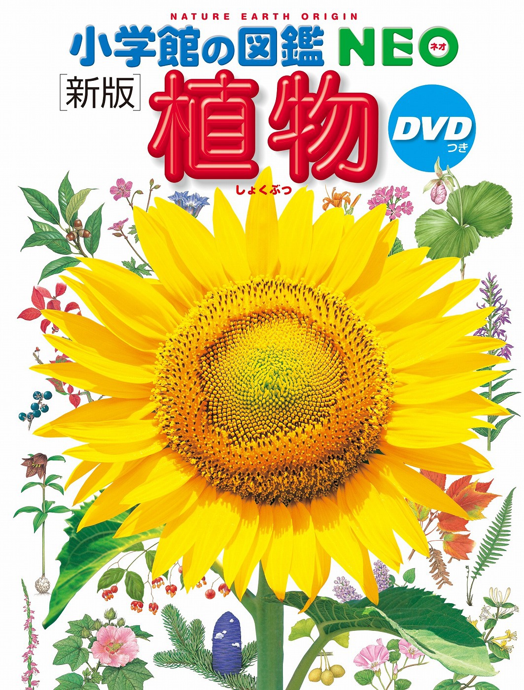 「小学館の図鑑NEO（新版）植物 DVDつき」表紙